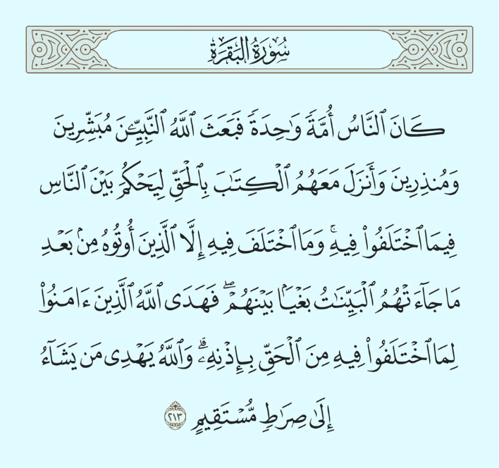 لَيْسَ عَلَيْكَ هُدَاهُمْ وَلَكِنَّ اللَّهَ يَهْدِي مَنْ يَشَاءُ. Attachment